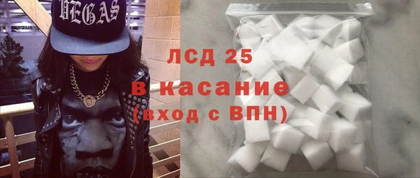 стафф Осташков