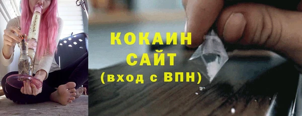 стафф Осташков
