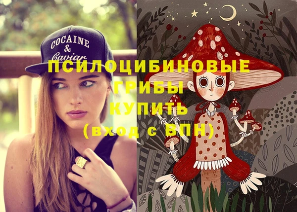 гашик Остров