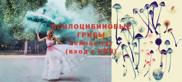 стафф Осташков