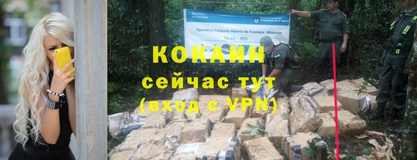 стафф Осташков