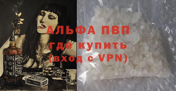 стафф Осташков