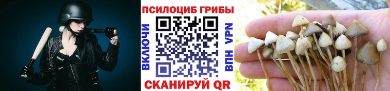 Псилоцибиновые грибы GOLDEN TEACHER  это официальный сайт  Артём  закладки 